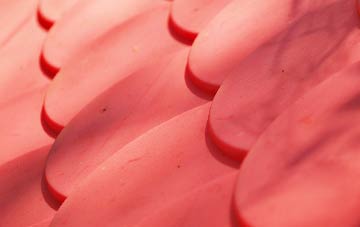 Bolnhurst plastic roof costs